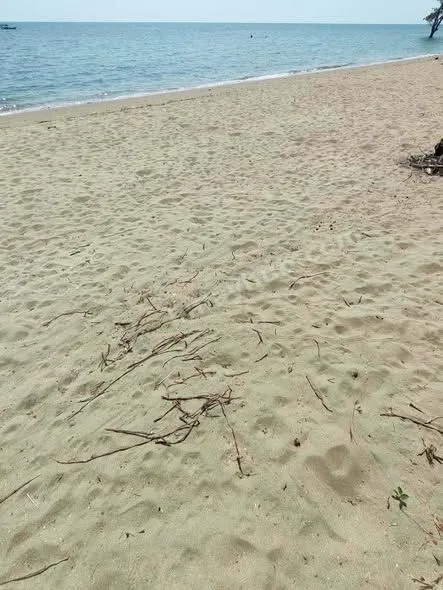 Beachfront Lot in Mulanay, Quezon