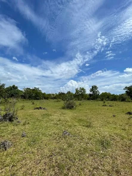 900 sqm Lot for Sale in Tawala, Panglao Bohol