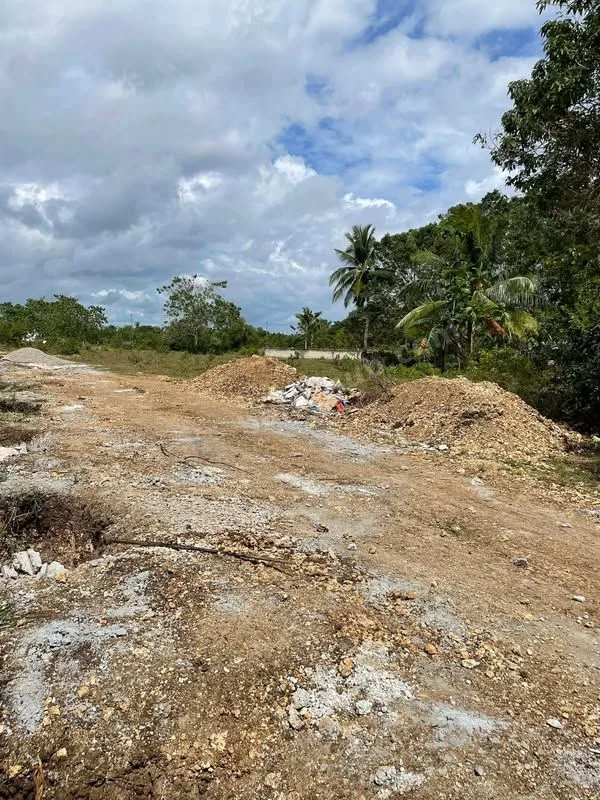 900 sqm Lot for Sale in Tawala, Panglao Bohol