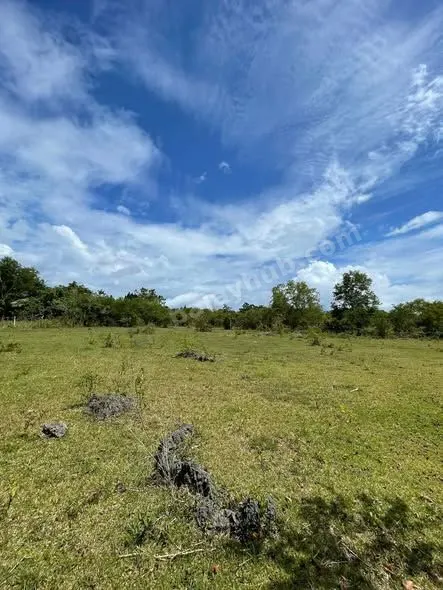 900 sqm Lot for Sale in Tawala, Panglao Bohol