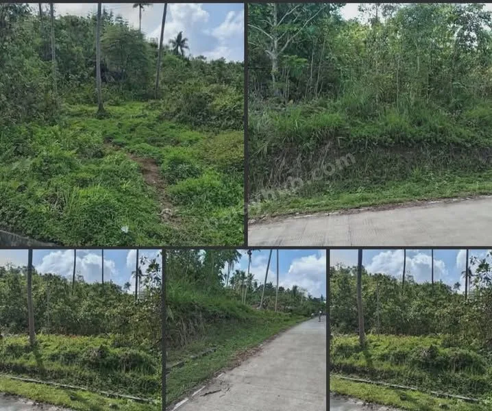 5,252 sqm Titled Lot for Sale in Balilihan, Bohol