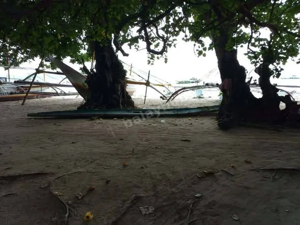 Beachfront Lot for Sale in Cagbalete Island, Mauban