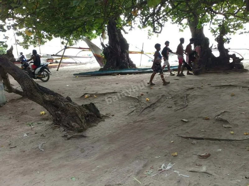 Beachfront Lot for Sale in Cagbalete Island, Mauban