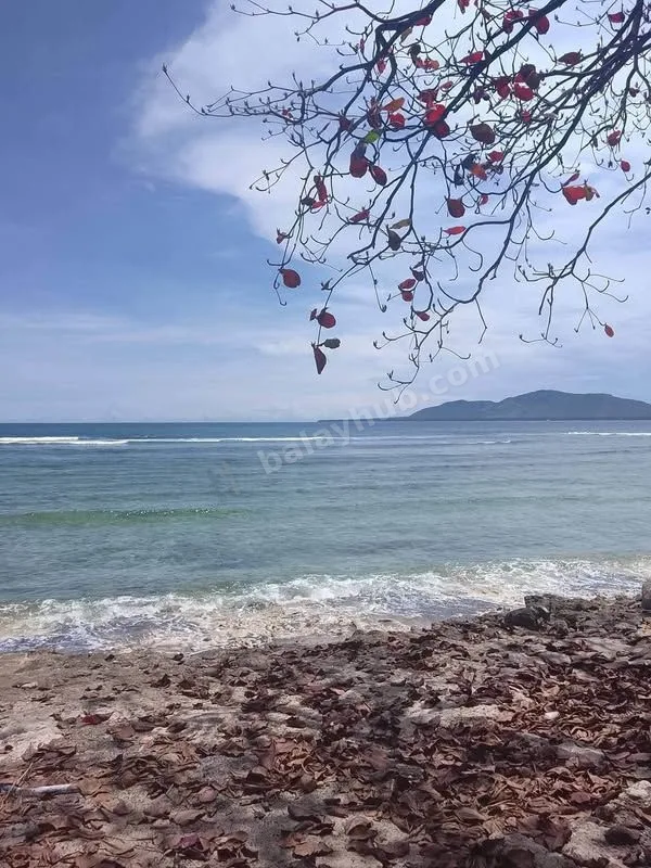 Beach Resort for Sale in Dahican, Mati City