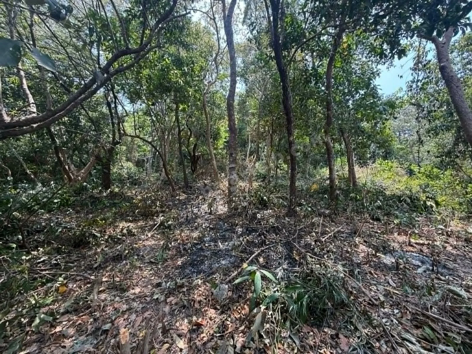1000 Square Meter Overlooking Residential Lot in Coron, Palawan