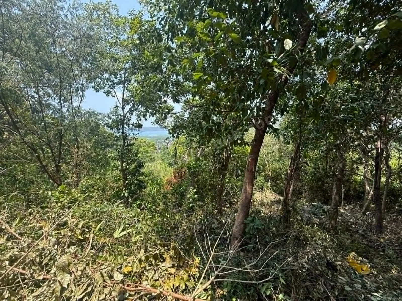 1000 Square Meter Overlooking Residential Lot in Coron, Palawan