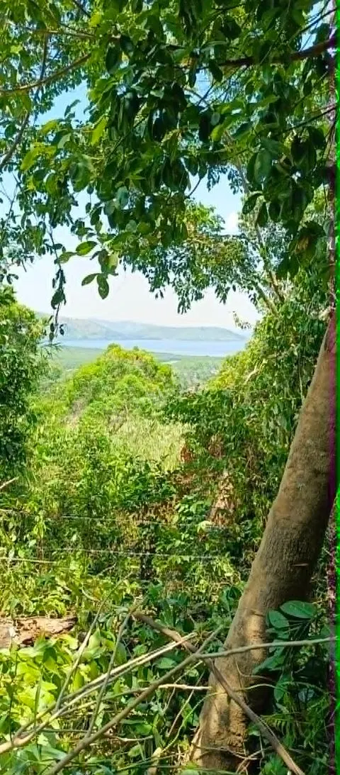 1000 Square Meter Overlooking Residential Lot in Coron, Palawan
