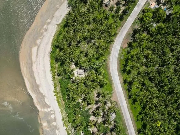 Beachfront Lot in Capalonga, Camarines Norte