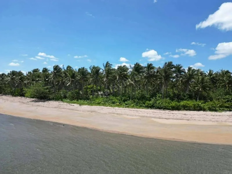 Beachfront Lot in Capalonga, Camarines Norte