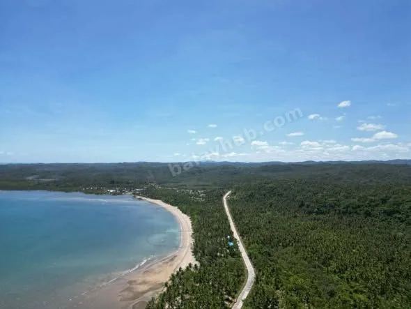 Beachfront Lot in Capalonga, Camarines Norte