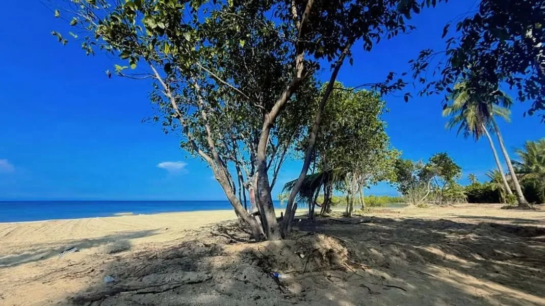 2-Hectare Beachfront Land in San Andres, Quezon