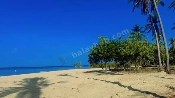 2-Hectare Beachfront Land in San Andres, Quezon