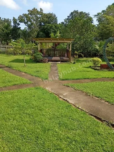 3-Hectare Farm with House, Poultry, Fruit Trees in Bacolod