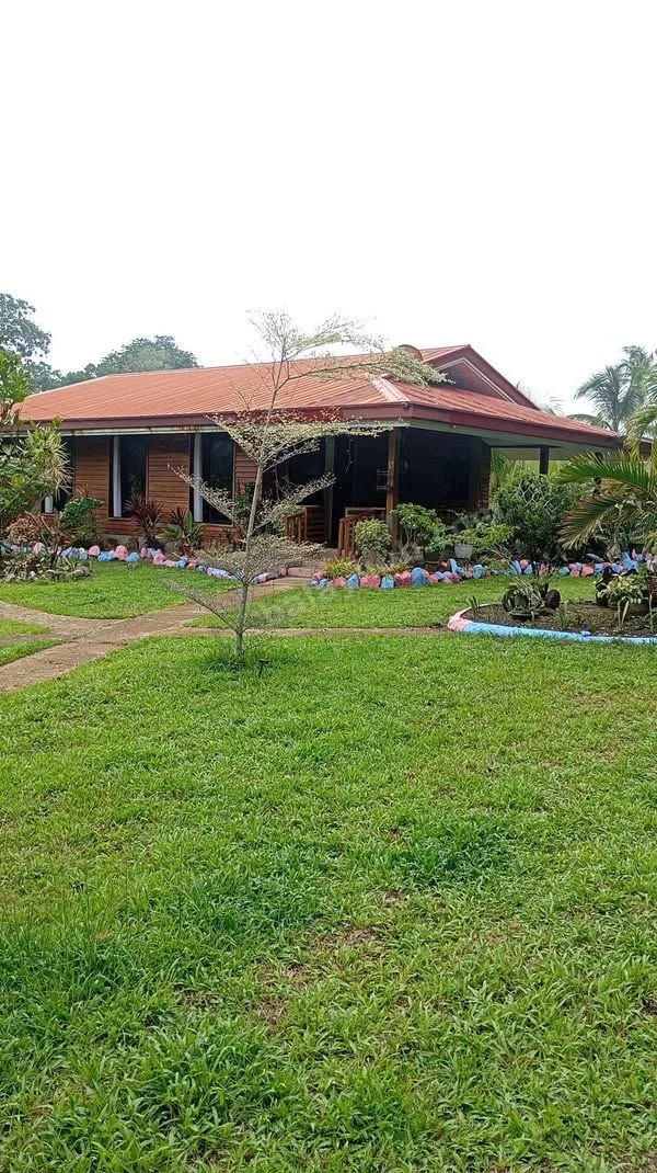 3-Hectare Farm with House, Poultry, Fruit Trees in Bacolod