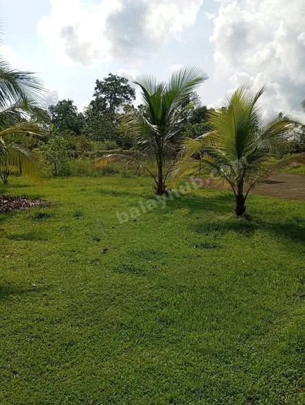 3-Hectare Farm with House, Poultry, Fruit Trees in Bacolod