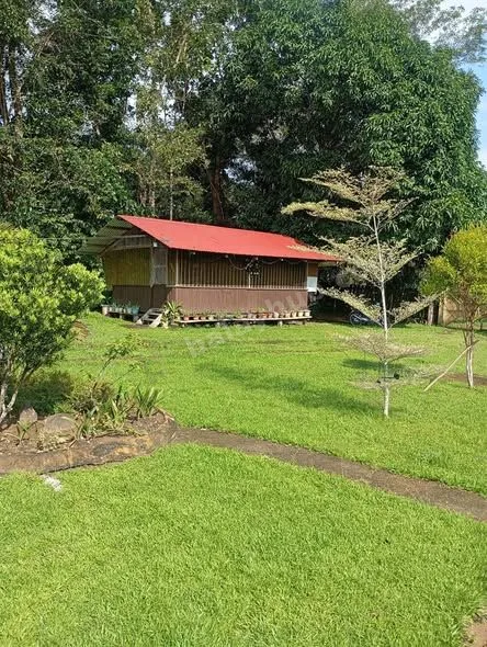 3-Hectare Farm with House, Poultry, Fruit Trees in Bacolod