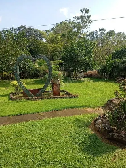 3-Hectare Farm with House, Poultry, Fruit Trees in Bacolod