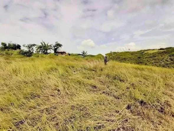 10,110 sqm Ocean-View Lot in San Fernando, Cebu