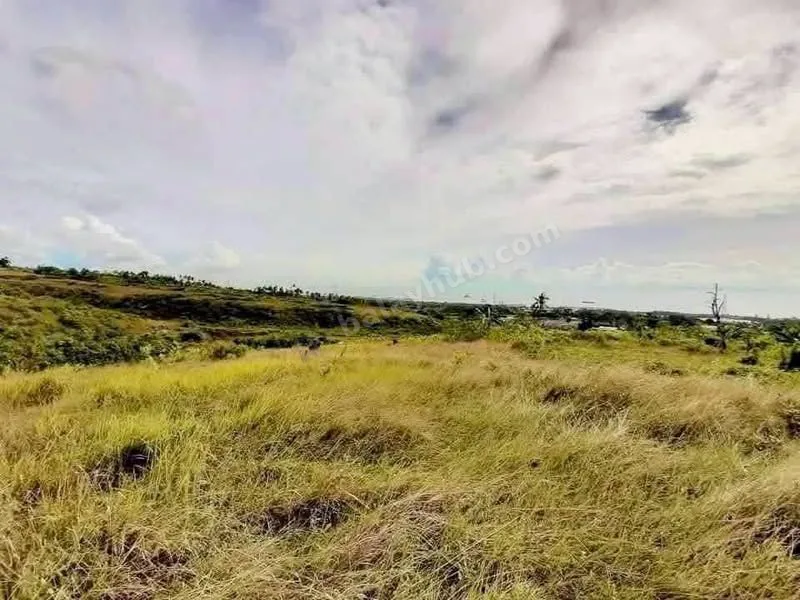 10,110 sqm Ocean-View Lot in San Fernando, Cebu