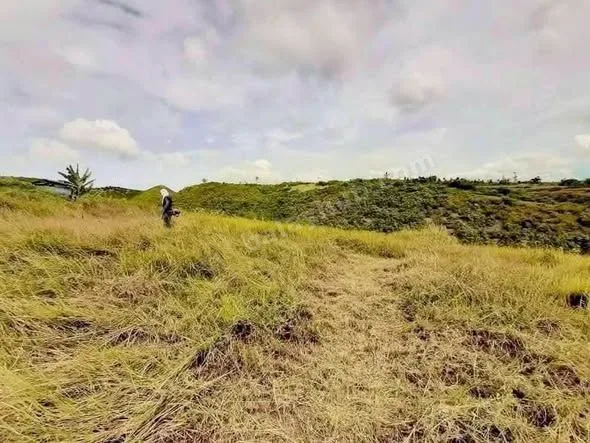 10,110 sqm Ocean-View Lot in San Fernando, Cebu