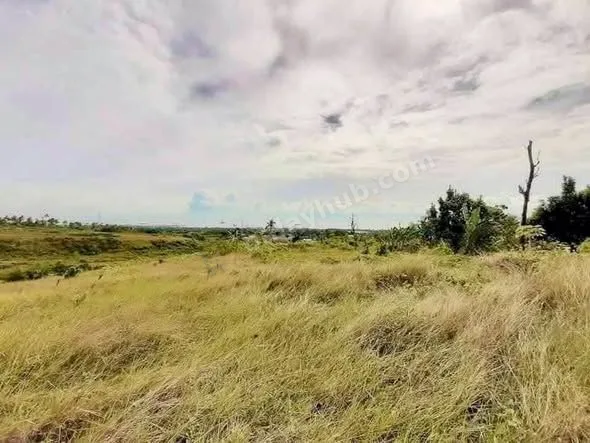 10,110 sqm Ocean-View Lot in San Fernando, Cebu
