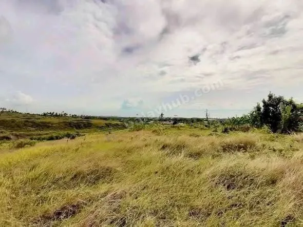 10,110 sqm Ocean-View Lot in San Fernando, Cebu