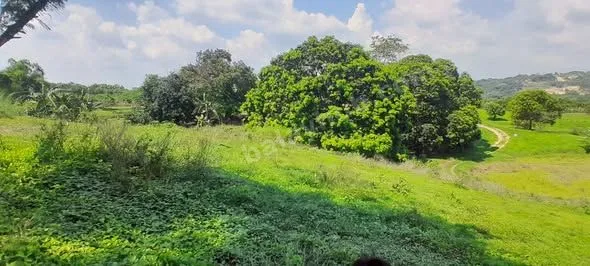 Farm Lot for Piggery & Poultry in Norzagaray, Bulacan