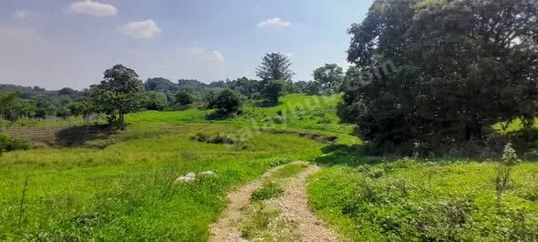 Farm Lot for Piggery & Poultry in Norzagaray, Bulacan