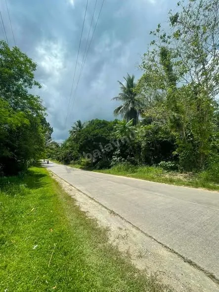 924 sqm Titled Highway Lot in Canangcaan, Corella, Bohol