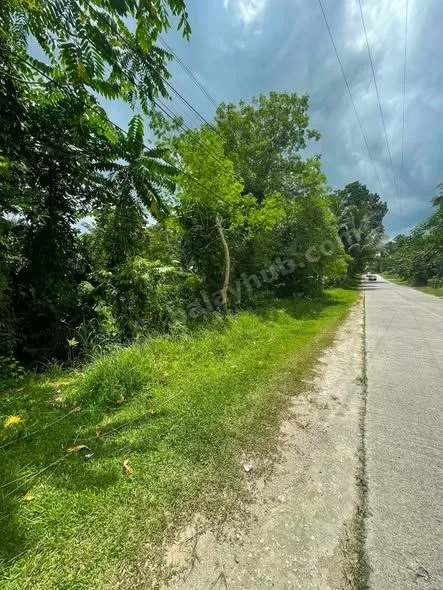 924 sqm Titled Highway Lot in Canangcaan, Corella, Bohol