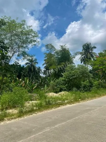 924 sqm Titled Highway Lot in Canangcaan, Corella, Bohol
