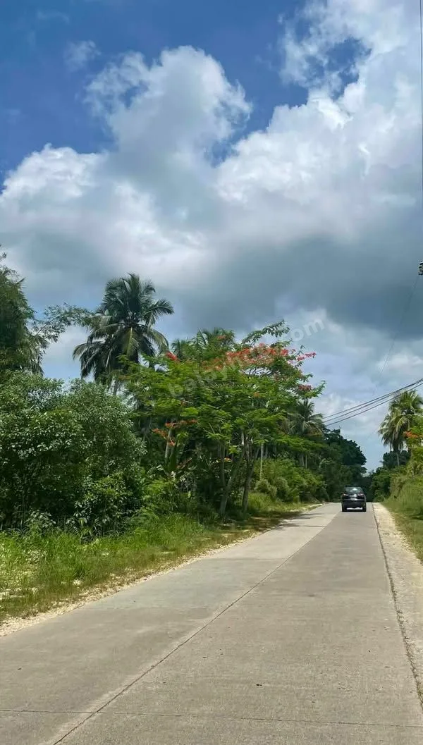 924 sqm Titled Highway Lot in Canangcaan, Corella, Bohol