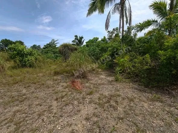 Bohol House and Lot for Sale in Tagbilaran City