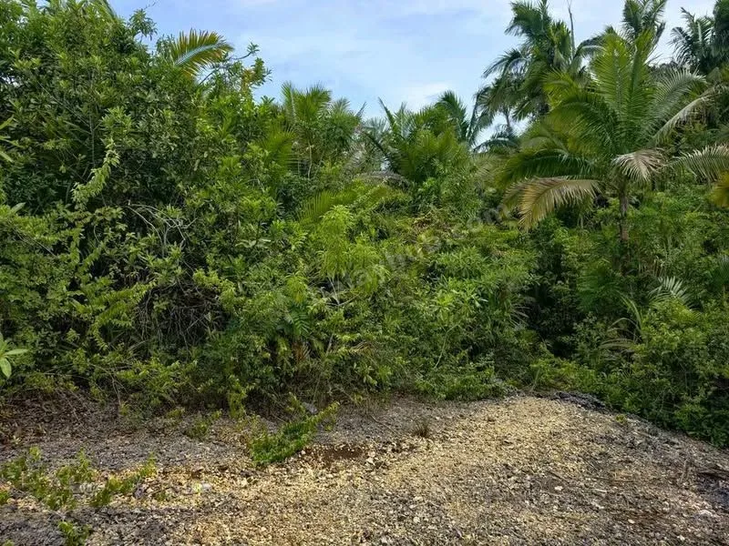 Bohol House and Lot for Sale in Tagbilaran City
