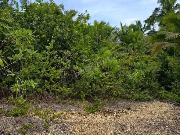 Bohol House and Lot for Sale in Tagbilaran City