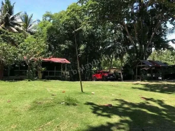 1.5-Hectare White Sand Beachfront Lot in Samal Island