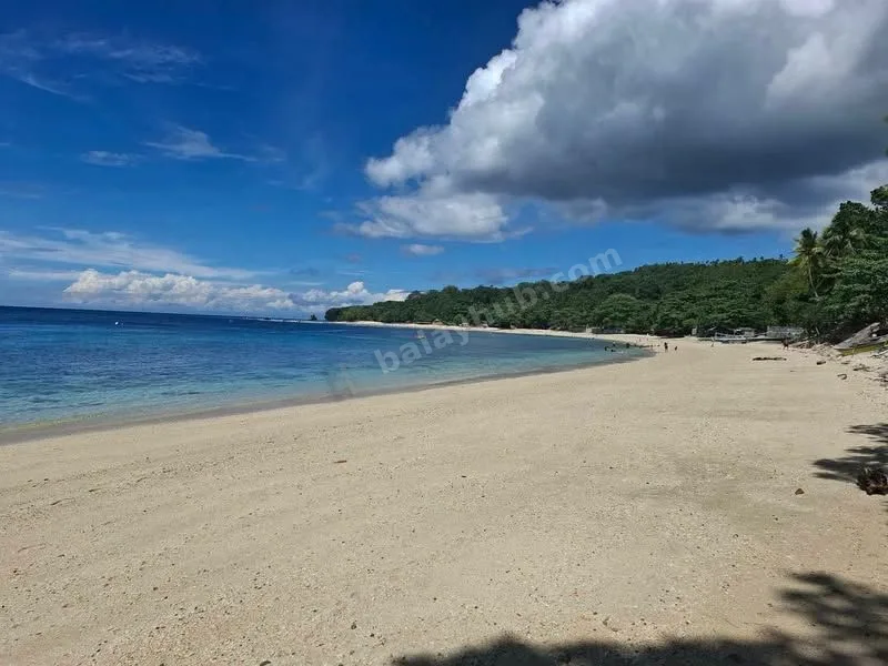 1.5-Hectare White Sand Beachfront Lot in Samal Island