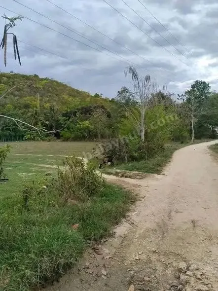 Commercial Lot in Danao City, Cebu: 100+ sqm, Near Highway & Schools
