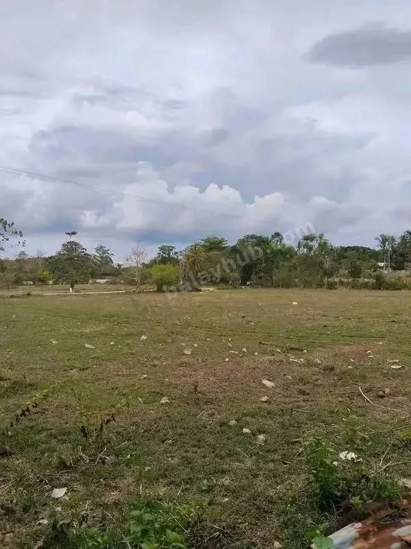 Commercial Lot in Danao City, Cebu: 100+ sqm, Near Highway & Schools