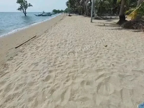 Beachfront Land in Mulanay, Quezon – 1,000 sqm for ₱2.5M
