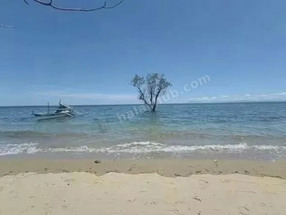 Beachfront Land in Mulanay, Quezon – 1,000 sqm for ₱2.5M