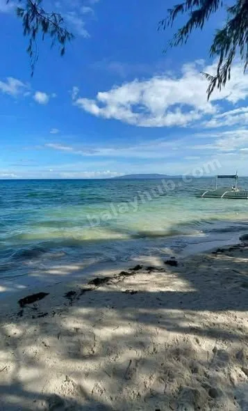 Prime 1,185 sqm Lot Near Momo Beach, Panglao