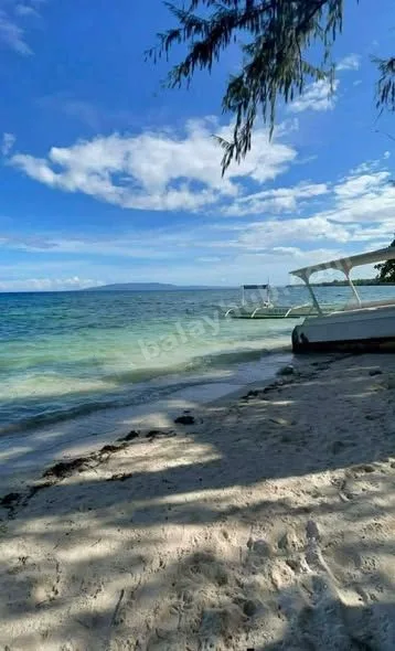 Prime 1,185 sqm Lot Near Momo Beach, Panglao