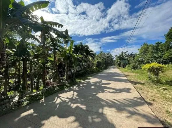Prime 1,185 sqm Lot Near Momo Beach, Panglao