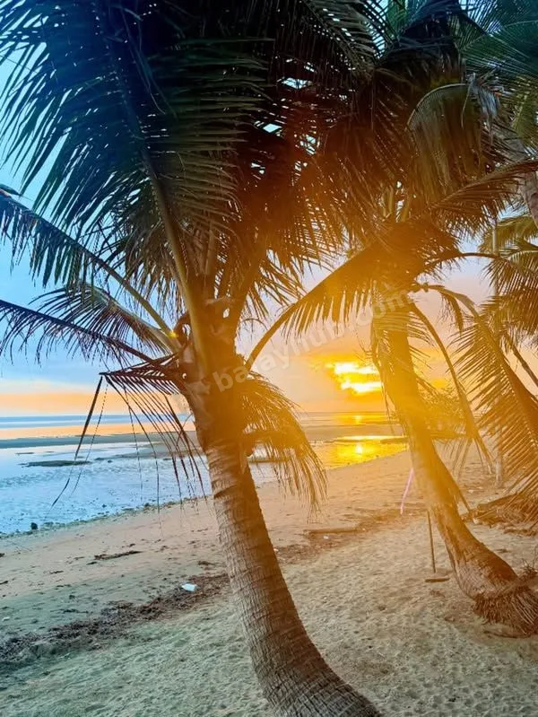 Beachfront Land in Mulanay, Quezon – 1,000 sqm for ₱2.5M