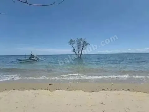 Beachfront Land in Mulanay, Quezon – 1,000 sqm for ₱2.5M
