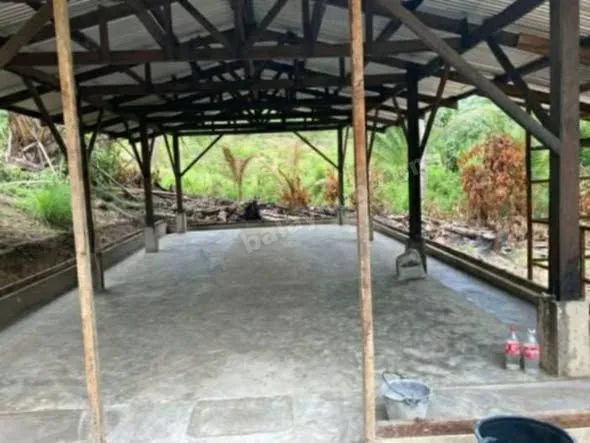 4,560 sqm Farm Lot with Piggery, Poultry, and Mini House in Catmon, Cebu