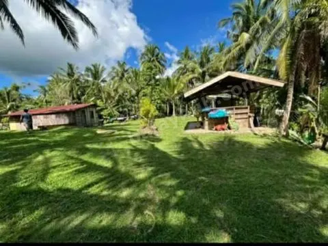 4,560 sqm Farm Lot with Piggery, Poultry, and Mini House in Catmon, Cebu