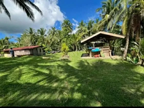4,560 sqm Farm Lot with Piggery, Poultry, and Mini House in Catmon, Cebu