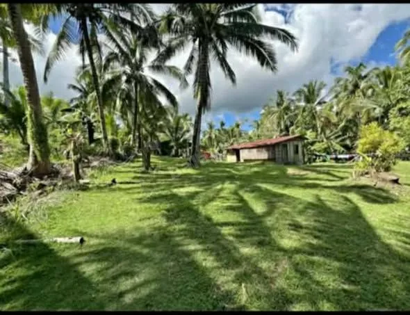 4,560 sqm Farm Lot with Piggery, Poultry, and Mini House in Catmon, Cebu